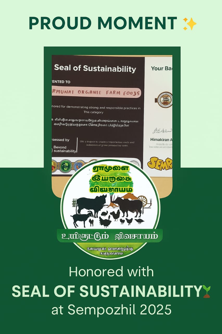 Certification Badge 2