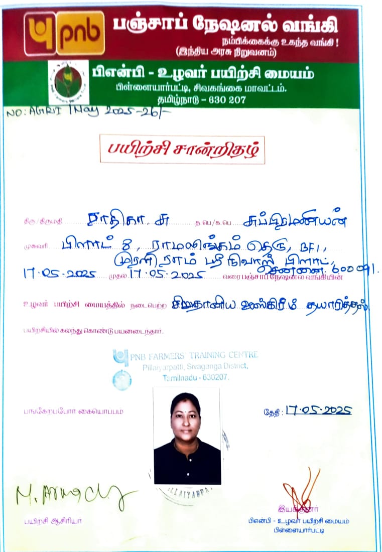 Certification Badge 6